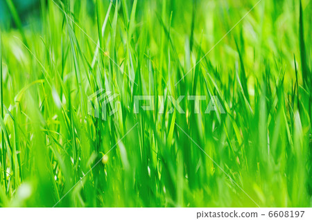 beautiful sunset in nature beautiful sunset in nature 6608197