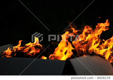 wild fire wild fire 6608239