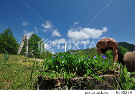 man garden work man garden work 6608289