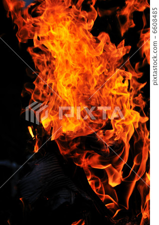 wild fire wild fire 6608485
