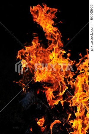 wild fire 6608603