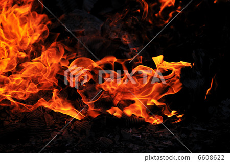 wild fire wild fire 6608622