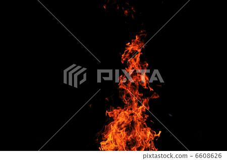 wild fire wild fire 6608626