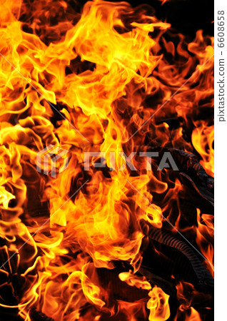 wild fire wild fire 6608658