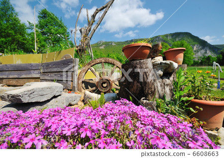 garden with beautiful flower decoratin 6608663