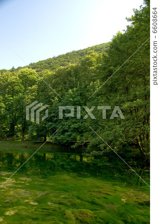 lake in pure nature lake in pure nature 6608664