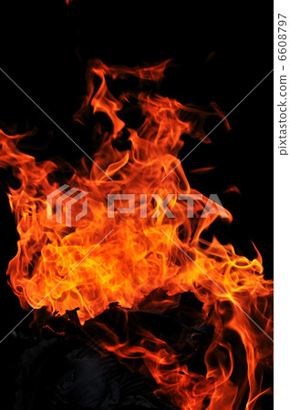 wild fire wild fire 6608797