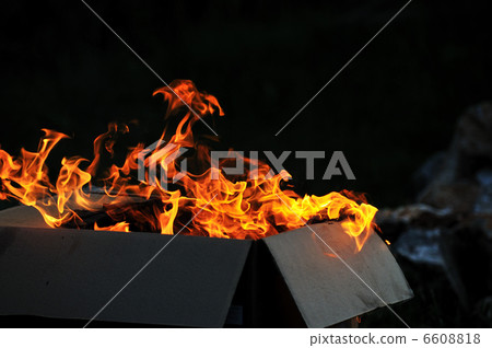 wild fire wild fire 6608818
