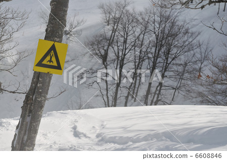 danger 6608846