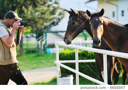 photographer and horse photographer and horse 6608847