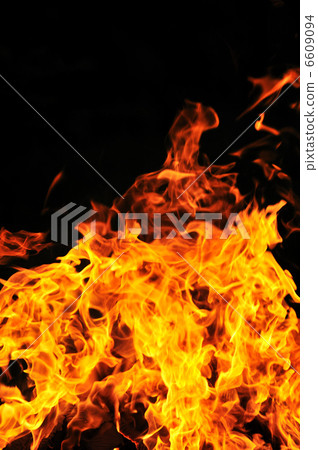 wild fire wild fire 6609094