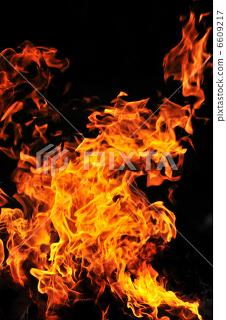 wild fire wild fire 6609217