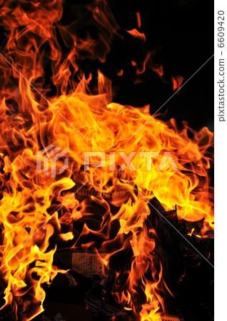 wild fire wild fire 6609420