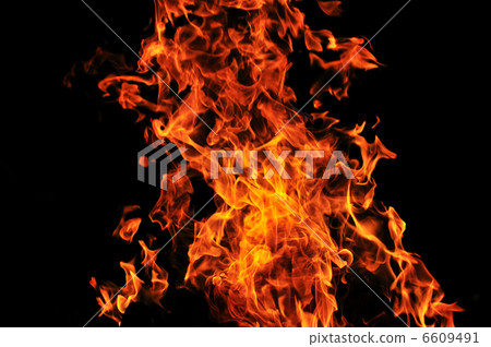 wild fire wild fire 6609491