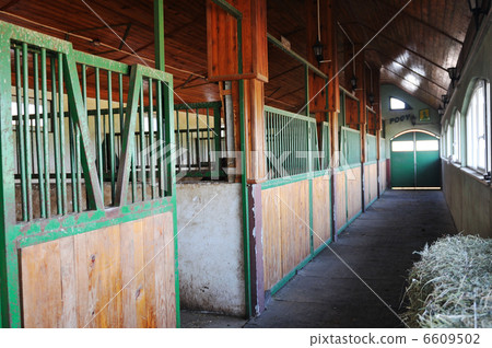 horse house horse house 6609502