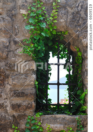 window old plant window old plant 6609519