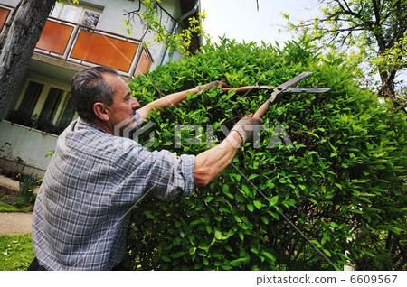 man garden work man garden work 6609567