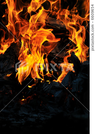 wild fire wild fire 6609654