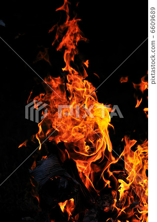 wild fire wild fire 6609689
