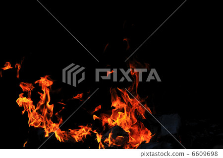 wild fire wild fire 6609698