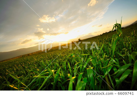 beautiful sunset in nature beautiful sunset in nature 6609741