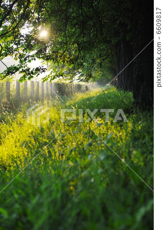 sunrise in beautiful alley sunrise in beautiful alley 6609817