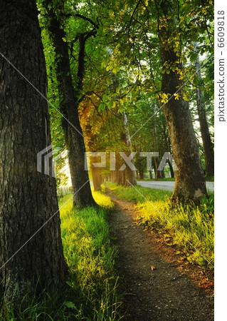 sunrise in beautiful alley 6609818