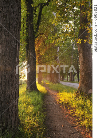 sunrise in beautiful alley sunrise in beautiful alley 6609821