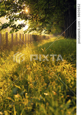 sunrise in beautiful alley sunrise in beautiful alley 6609852