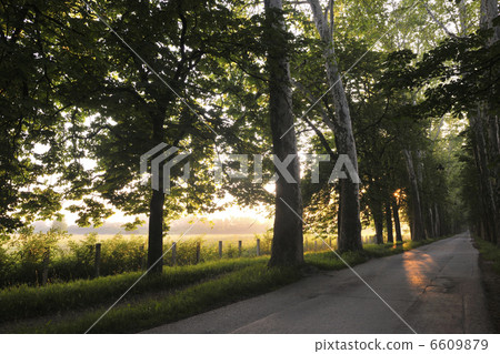 sunrise in beautiful alley 6609879