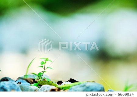 new growth concept 6609924