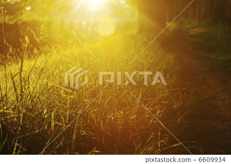 sunrise in beautiful alley 6609934