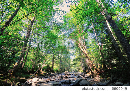 fresh water 6609949