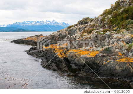 Beagle channel, Patagonia, Argentina 6613005