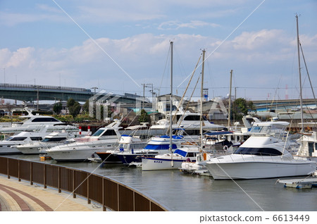 Yotto Harbor  6613449