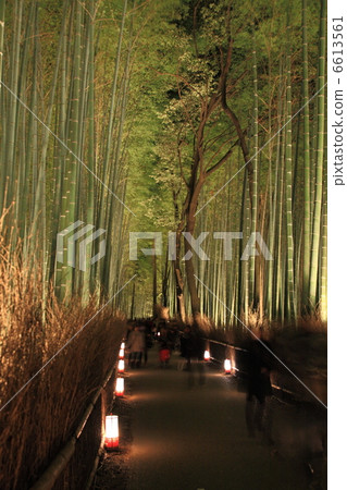 Arashiyama花燈竹森林的小直徑 6613561