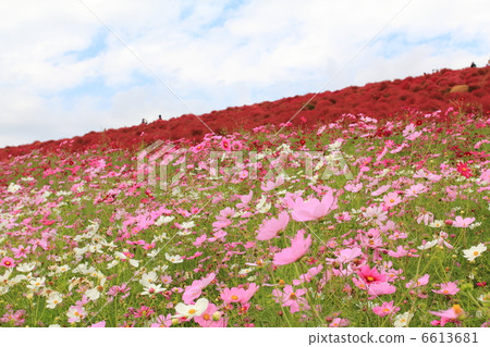 Fall of Mihara's hill Fall of Mihara's hill 6613681