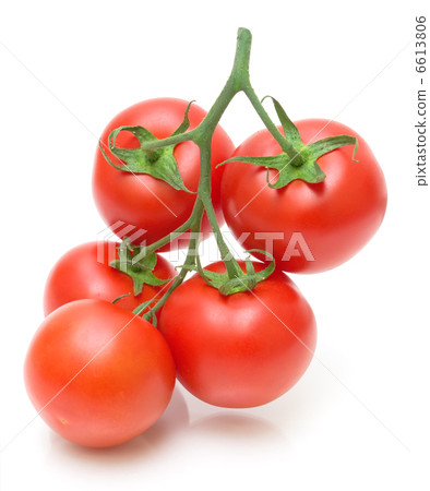 Bunch of fresh tomatoes on white background Bunch of fresh tomatoes on white background 6613806