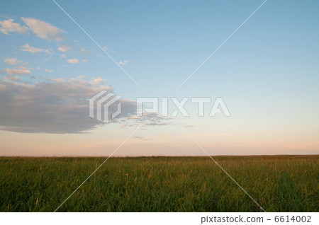 紋別沒有草地 6614002