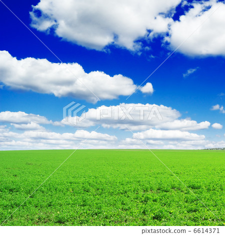 fields fields 6614371