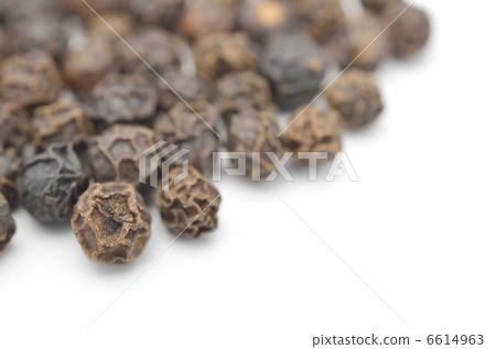 黑胡椒白背 6614963