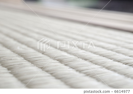 Tatami 6614977