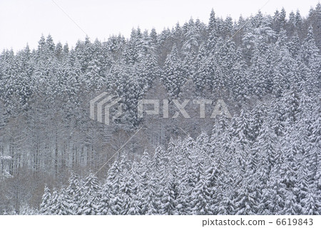 Snow mountain Snow mountain 6619843