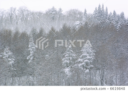 雪山 6619848