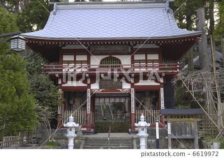 Round Monkey Monkey 6619972