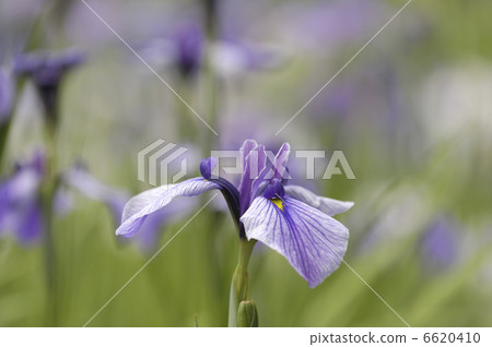 這個節目 6620410