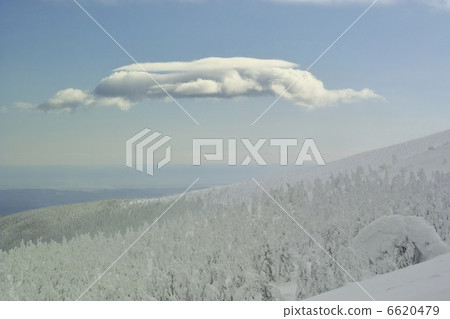 Zao forecast 6620479