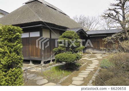 老Iwata家庭 老Iwata家庭 6620658