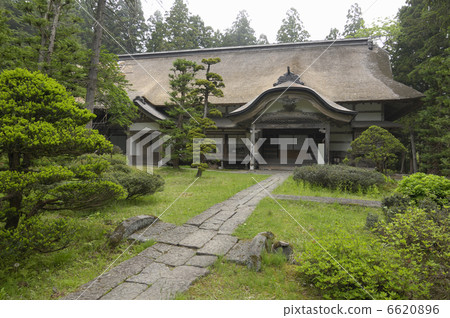 Company office 6620896