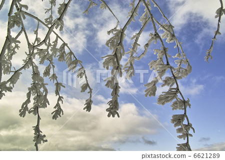  有霧的冰 6621289